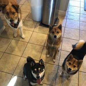 Meet your Posher, Fredrick